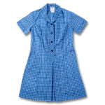 FCW - Hume Primary dress