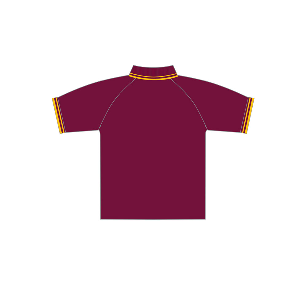 DWPS – Polo