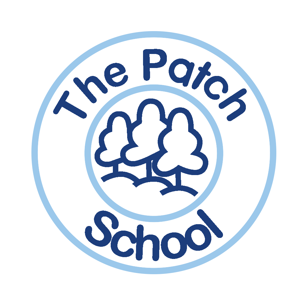 The Patch Primary School
