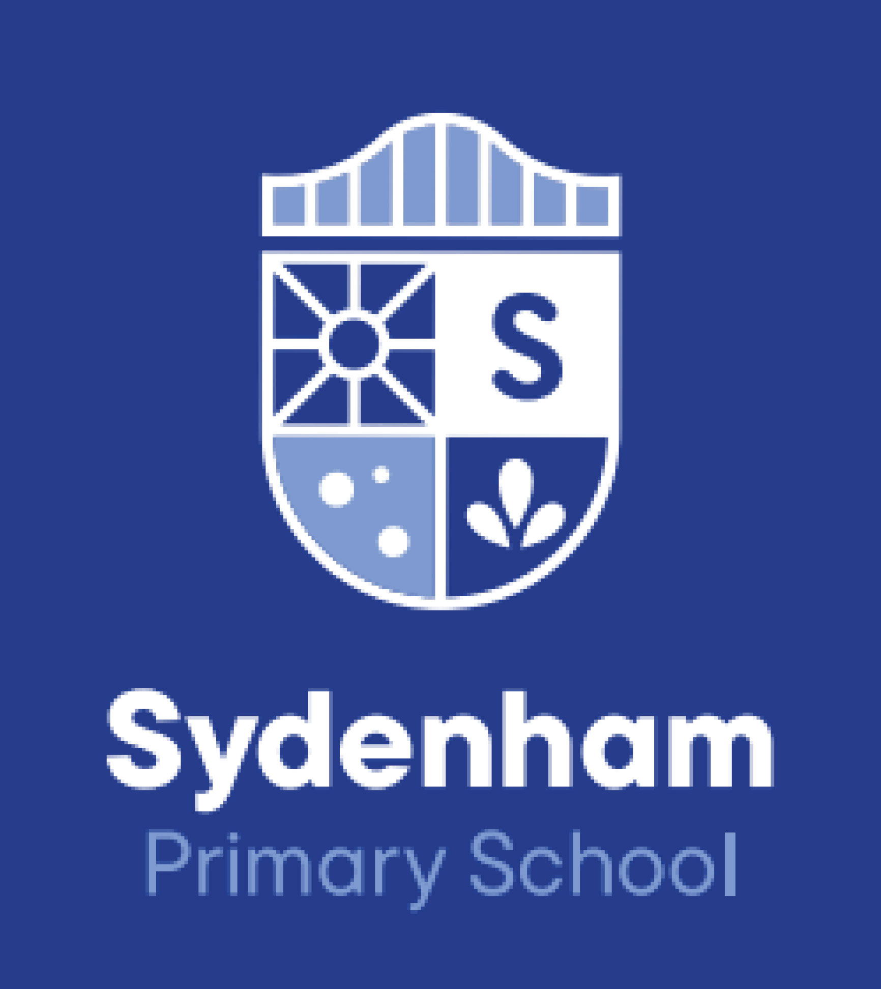Sydenham Primary School (Sports)