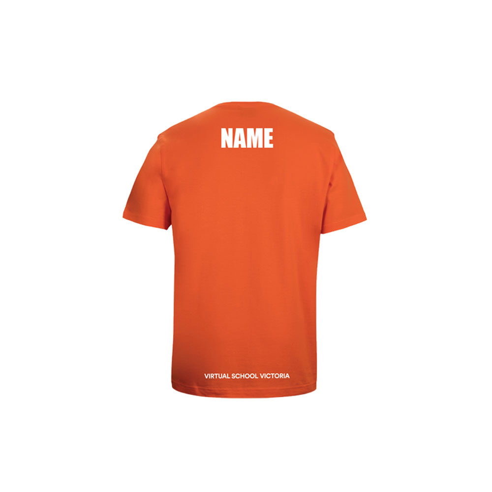 Virtual School Victoria YR12 – TEE Orange